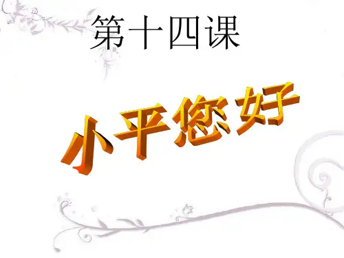 教科版思品九年第十四课《小平,您好》复习课件