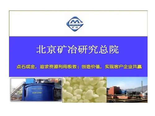 北京矿冶的研究总院全面介绍共21页文档