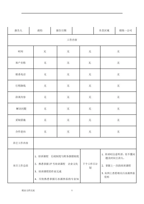 销售日报模板