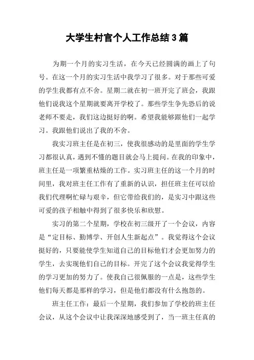 大学生村官个人工作总结3篇