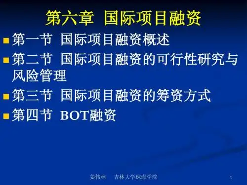 第六章 国际项目融资