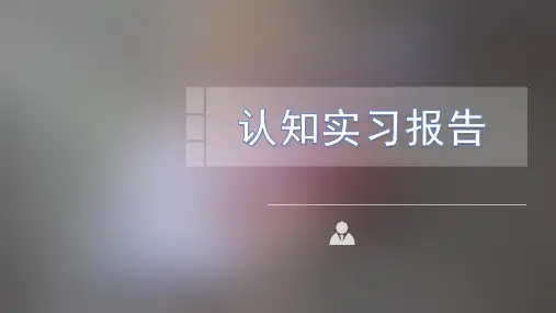 认知实习