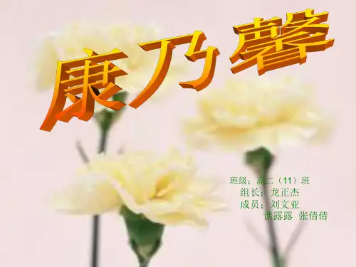 康乃馨