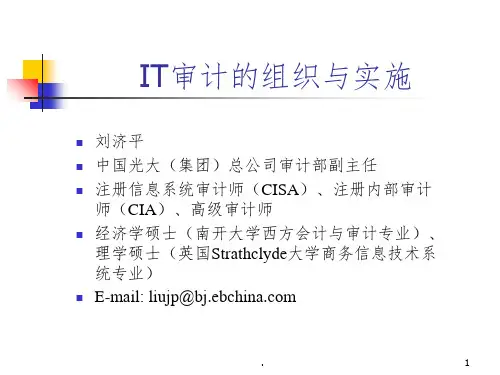 IT审计的组织与实施(培训完整)ppt课件