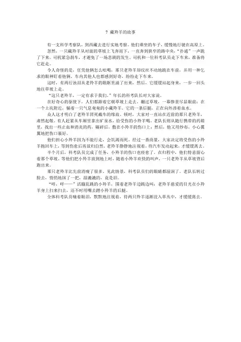 藏羚羊的故事(原文)
