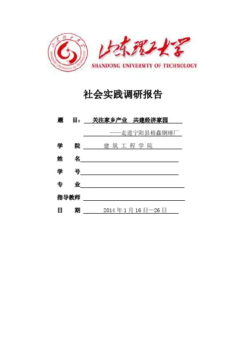 社会实践调研报告 3