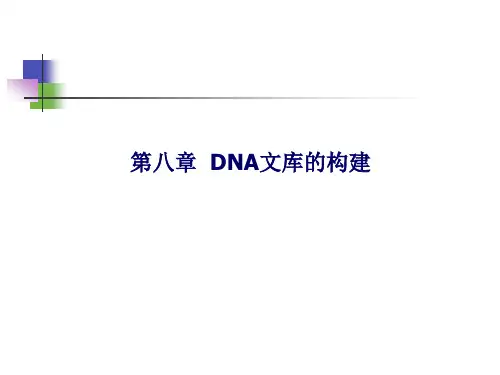 DNA和CDNA文库构建