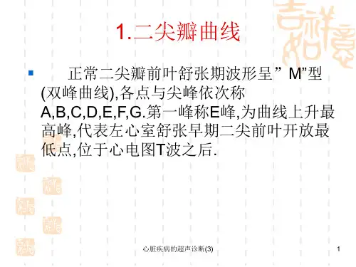 心脏疾病的超声诊断(3)课件