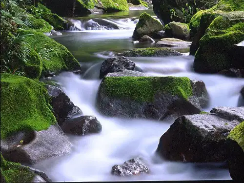 5.泉水