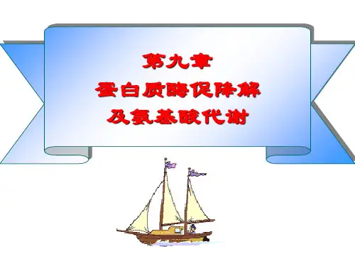 第八章蛋白质酶促降解及氨基酸代谢