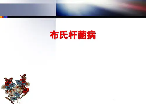 布氏杆菌病09