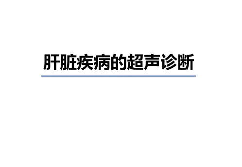 医学影像学:肝脏疾病的超声诊断