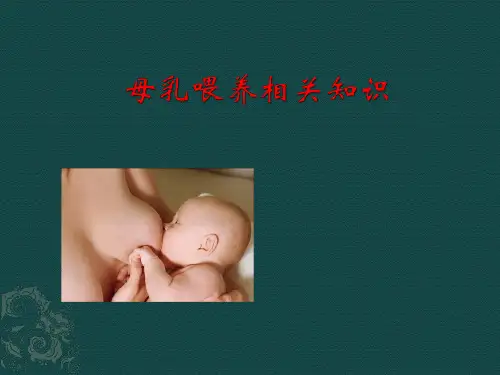 母乳喂养相关知识讲述