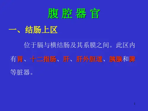 胃的解剖ppt课件