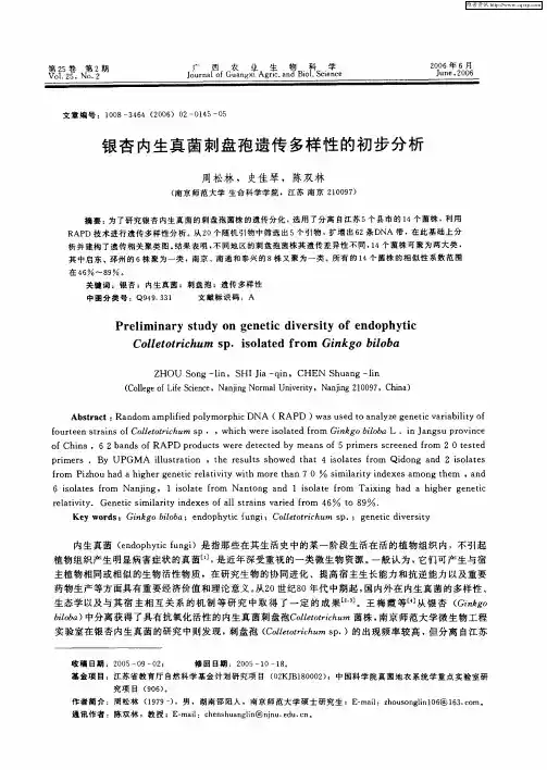 银杏内生真菌刺盘孢遗传多样性的初步分析