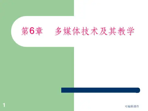第6章 多媒体技术及其教学PPT课件