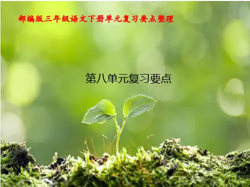 部编版三年级语文下册第八单元复习要点