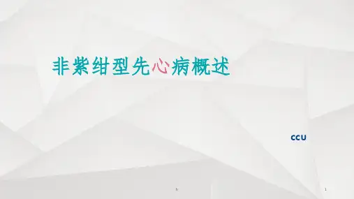 非紫绀型先天性心脏病ppt课件