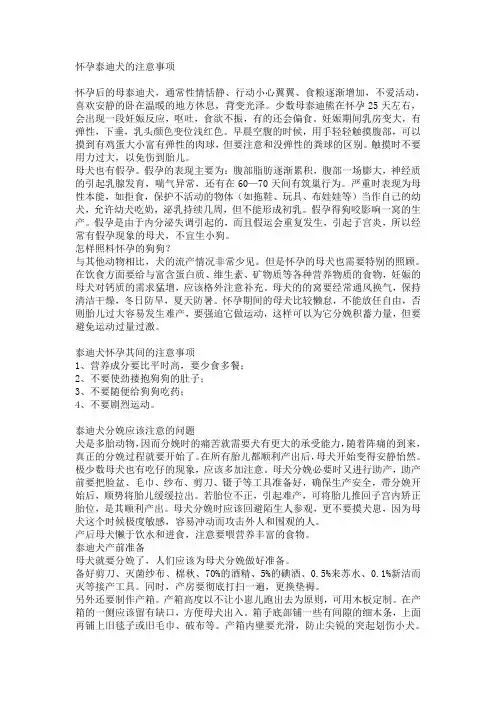 怀孕泰迪的注意事项及产前产后护理