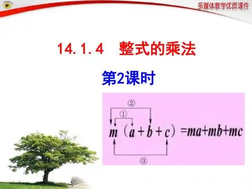 14.1.4整式的乘法2