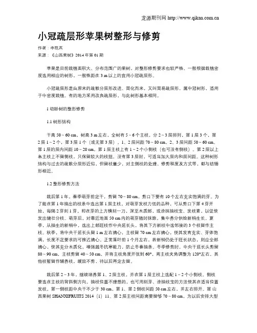 小冠疏层形苹果树整形与修剪