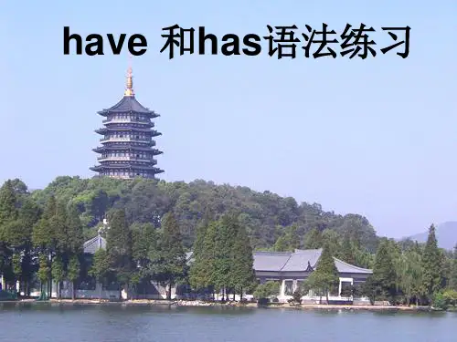 have和has的用法