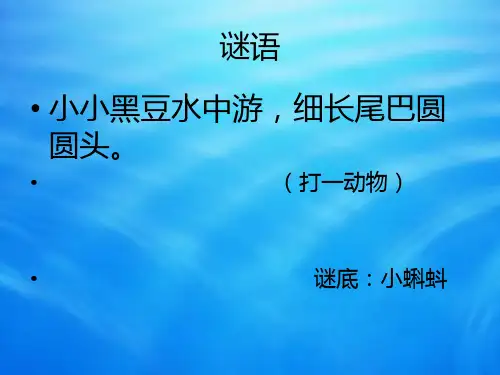 《小蝌蚪》PPT课件