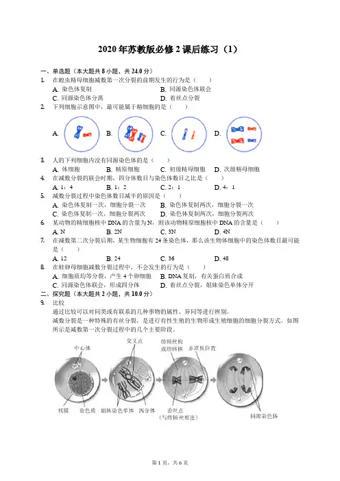 2020年苏教版高中生物必修2课后练习(1)(含答案解析)