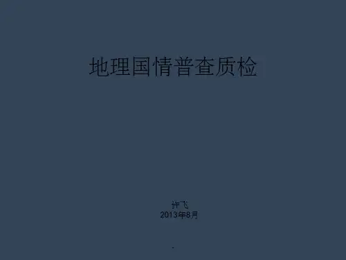 地理国情普查数据质检