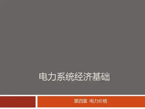 第五章 电力价格