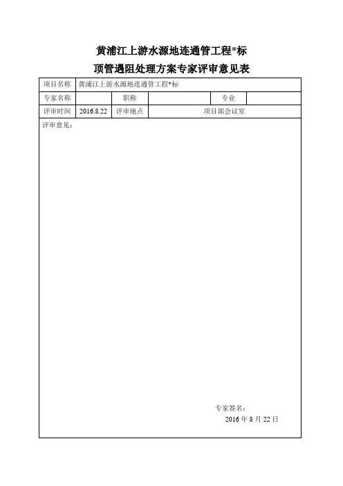 专家评审意见表 4