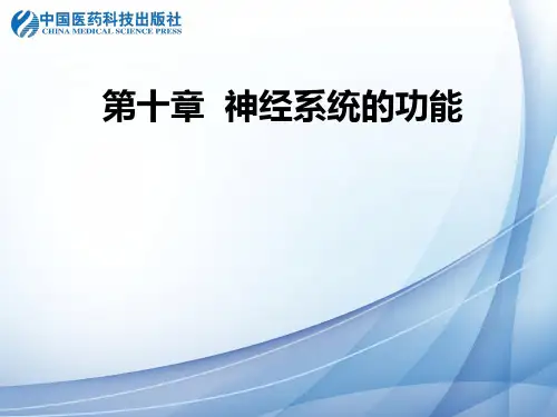 杏仁核饱中枢