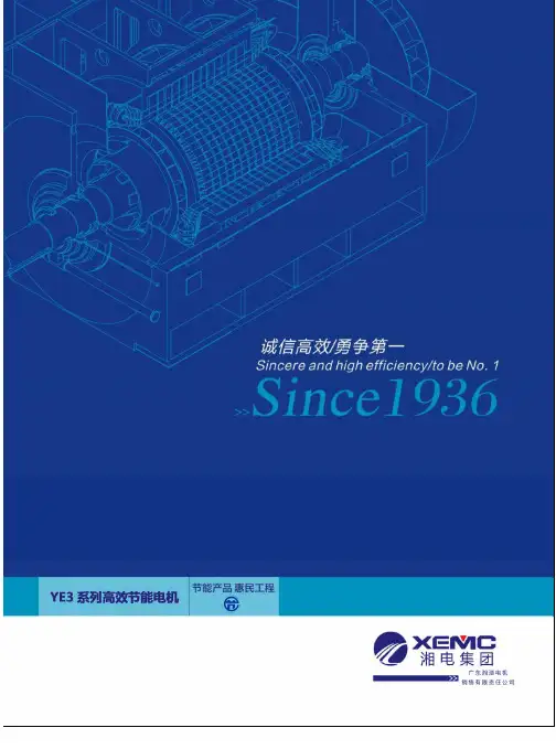 YE3低压电机样本