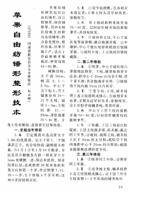 苹果自由纺锤形整形技术