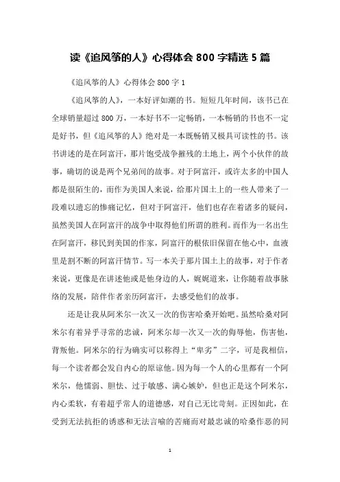 读《追风筝的人》心得体会800字精选5篇
