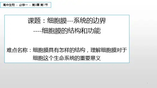 高中生物必修一课件-3.1细胞膜——系统的边界25-人教版