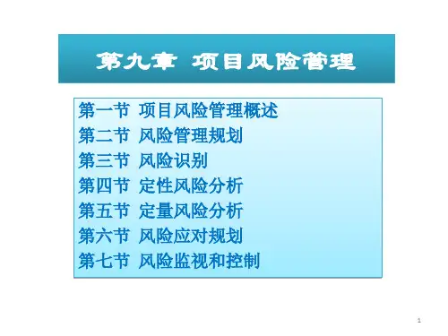 ch09项目风险管理
