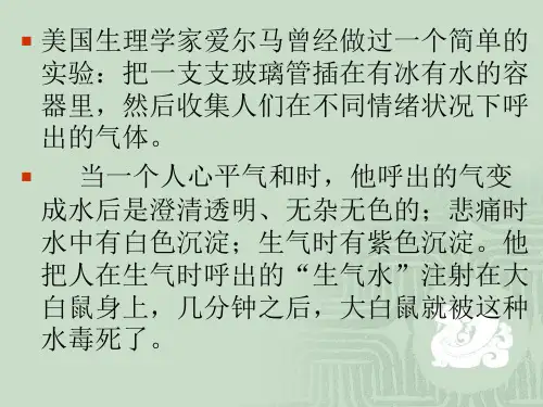 《不生气不生气》的作文指导课