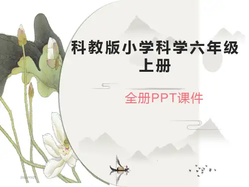 科教版小学科学六年级上册全册PPT课件
