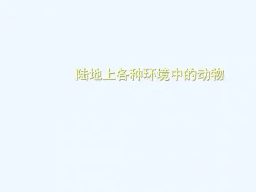 陆地各种环境中的动物