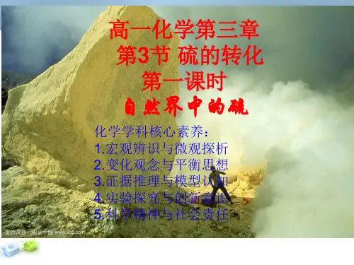 高中化学《硫的转化》优质教学课件设计(2)