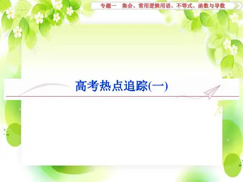 高考数学二轮总复习讲义课件专题一  集合、常用逻辑用语、不等式、函数与导数  高考热点追踪(一)