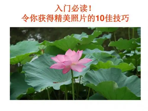 摄影知识-令你获得精美照片的10佳技巧 精品