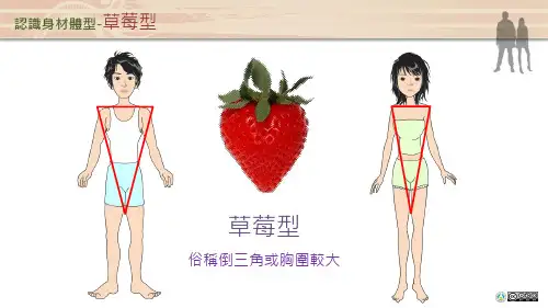 认识身材体型