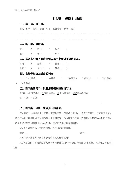 《飞吧,海鸥》习题