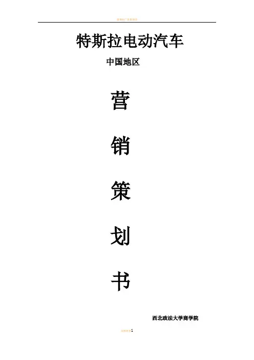 特斯拉电动汽车市场营销策划书