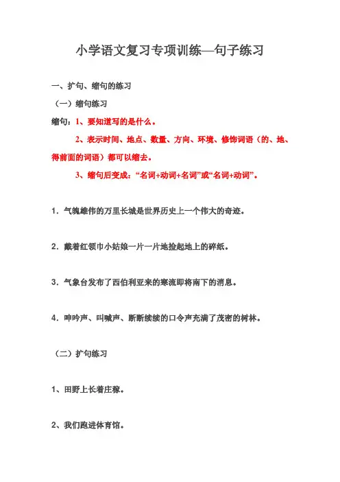 小学语文复习句子练习