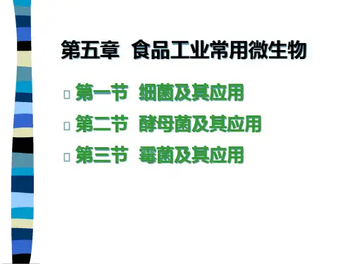 发酵工艺学-食品工业常用微生物
