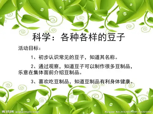 各种各样的豆子