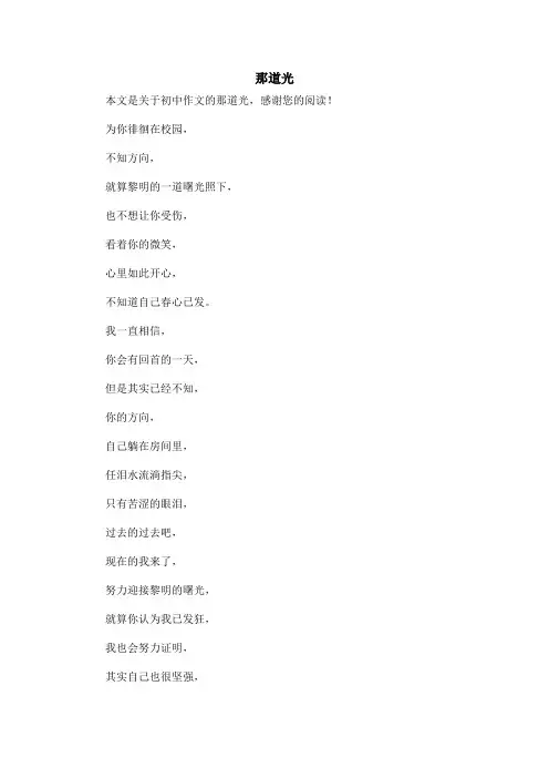 那道光_初中作文